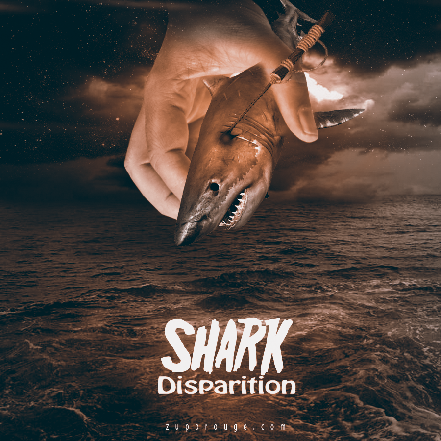 Shark Disparition
